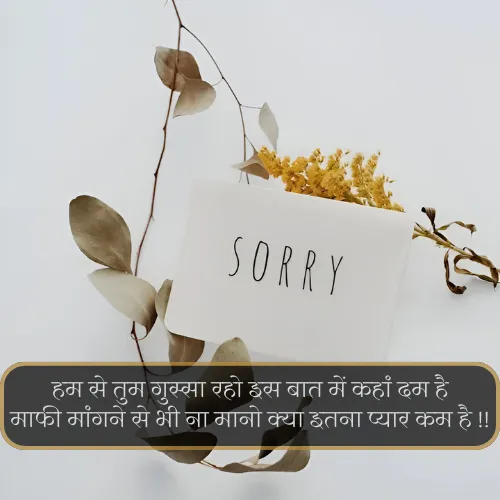 Hurt Sorry Shayari