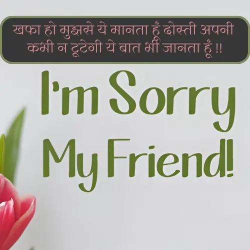 Sorry Shayari for Friend