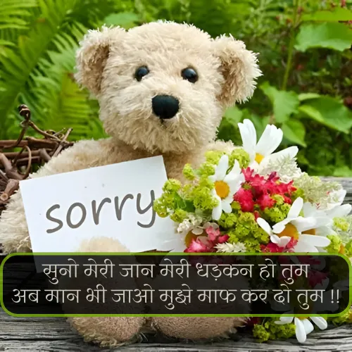 Sorry Shayari for Gf